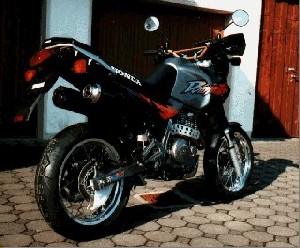 Dominator