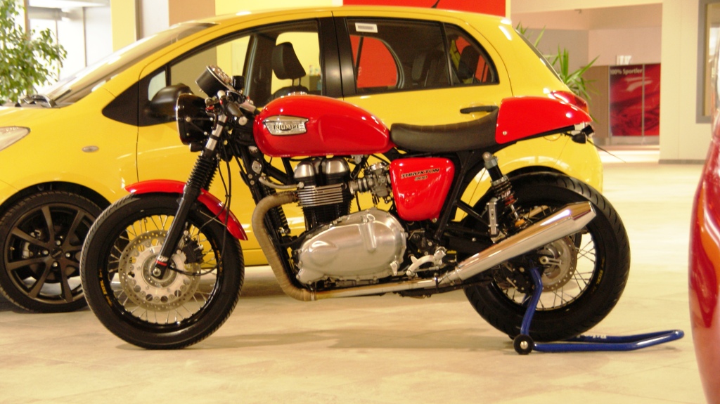 Triumph Thruxton oder Bonneville