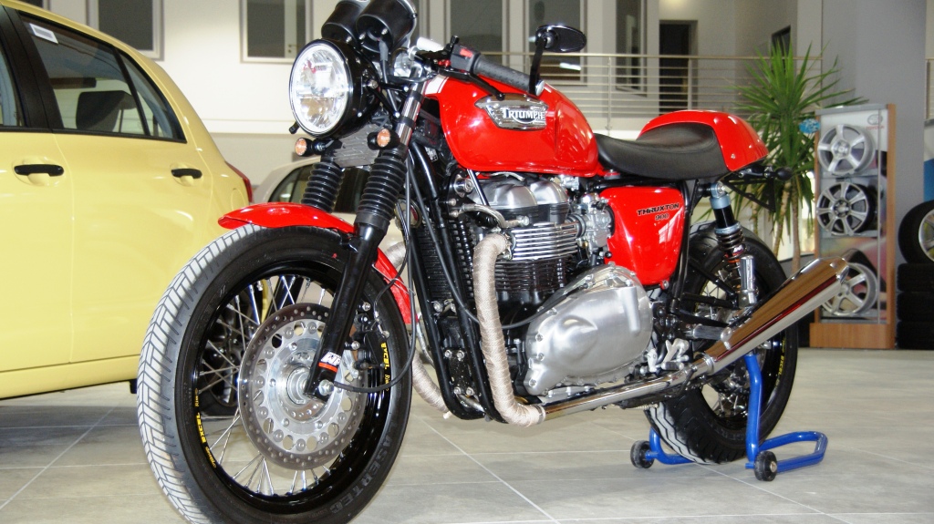 Triumph Thruxton oder Bonneville