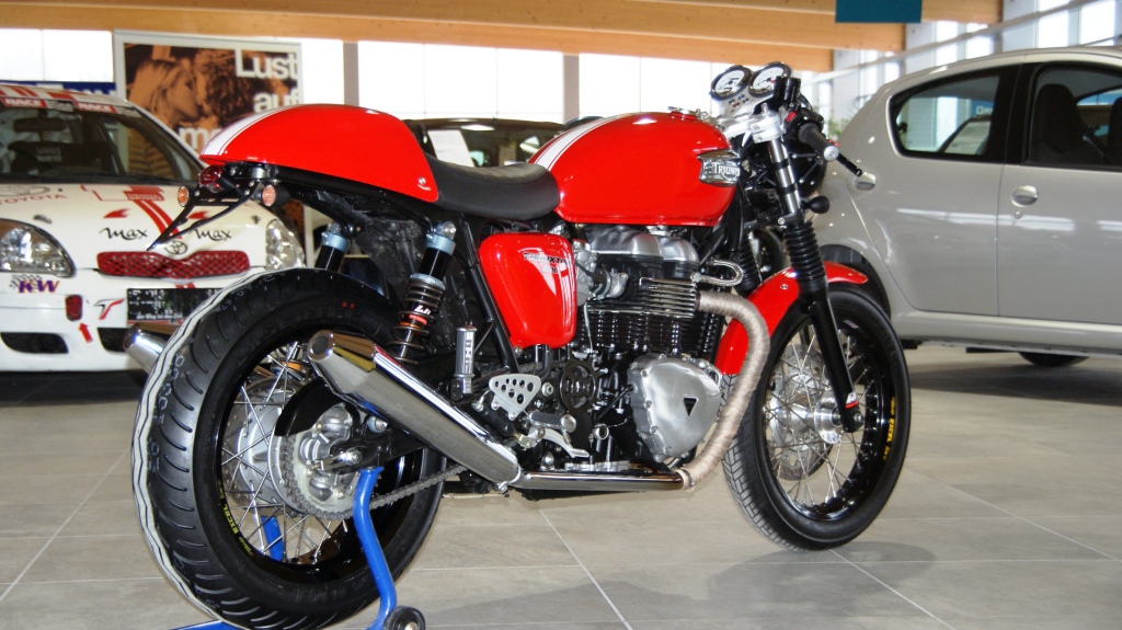 Triumph Thruxton oder Bonneville